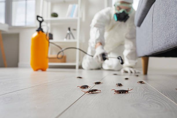 Trusted Termite Control service in Brookville, PA - Nex Pest Control