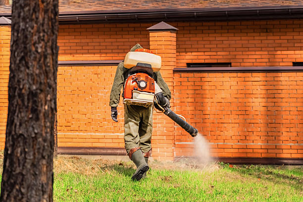 Trusted Ant Control service in Brookville, PA - Nex Pest Control